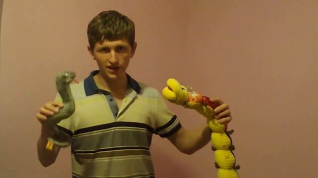 caterpillar Vs snake ( Random Video )