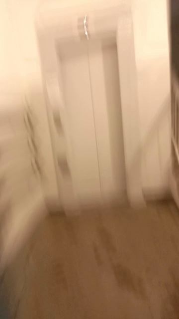 scene_output.mp4
