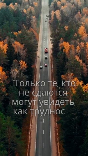 Не сдавайся!