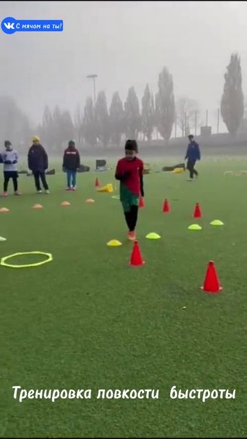 Тренировка ловкости  быстроты / Agility and speed training