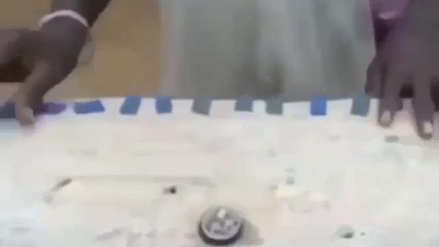 Лето арбалеты африка