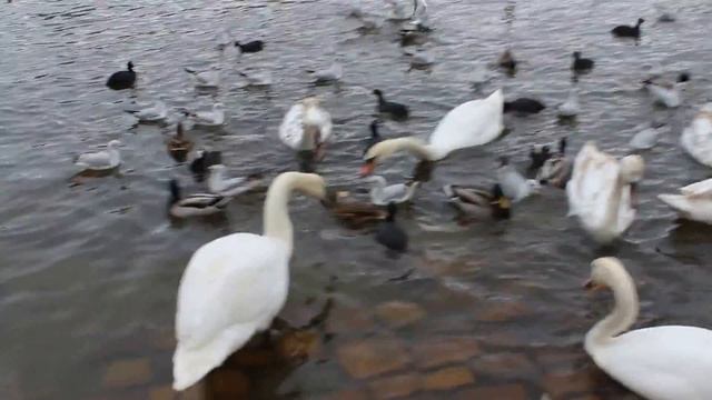 прага!!!впрагу!влтава!vltva!чехия!