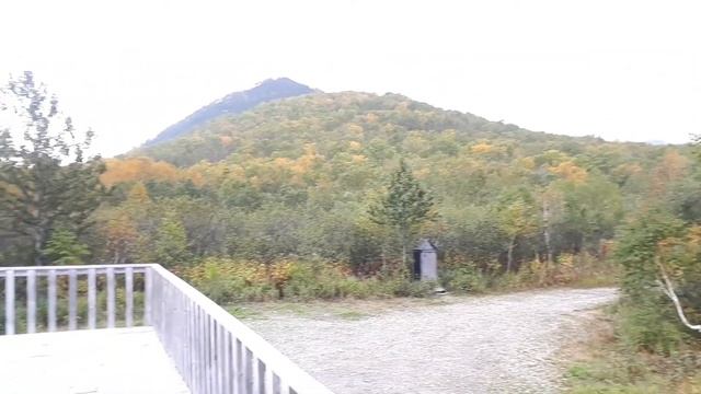 Это песня ищут все и природы.