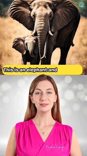 Animals & Their Baby Names Vocabulary#english #learnenglish #vocabulary #shorts