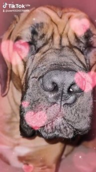 Та самая, самая, самая