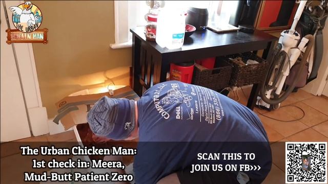 101.7 We check in w/ Patient Zero: Meera, our girl with poop stuck to her little chicken butt