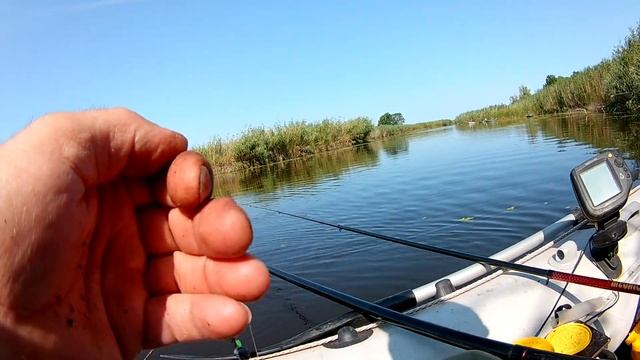 КАРАСЬ в кінці літа.р. СУЛА