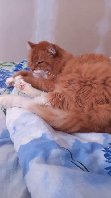 Совет от Кузи, сам им постоянно пользуется