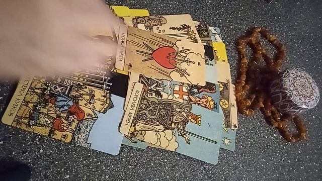 VID_20250207_075928.mp4