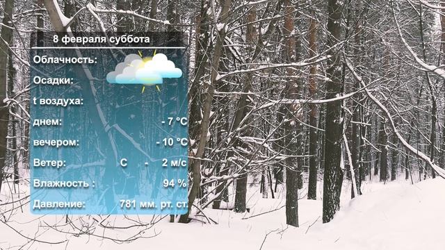 Погода на завтра_ 07_02_2025
