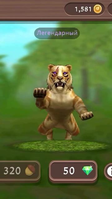 Мой тигр 🐯🐅