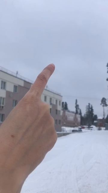 Сегодня пасмурно. Небо серое.