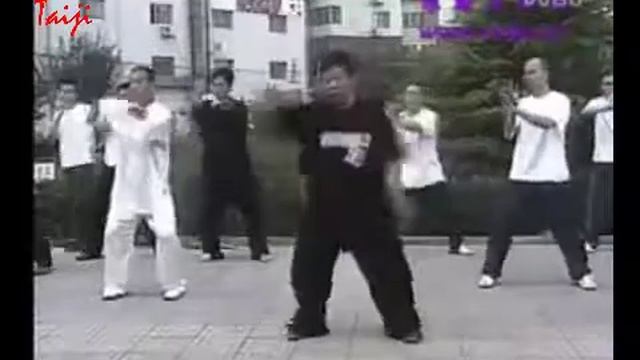 Chen style Taiji Chen Yu 72 form Part 2 FORM  3