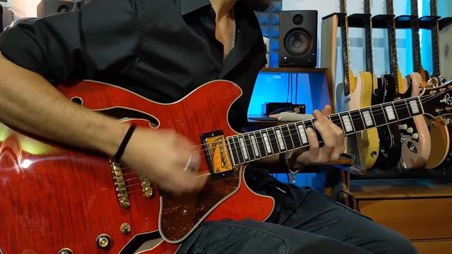 Foo Fighters - Everlong - Guitar Cover by Niccolò Duranti (Line 6 Helix patch) #line6helix