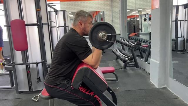 Подъемы штанги на бицепс на скамье Скотта