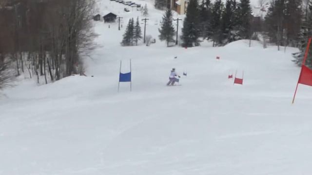 190125 Pico GS HB 3
