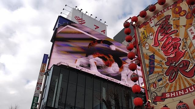 Shinjuku cat — гигантская кошка на Синдзюку в Токио