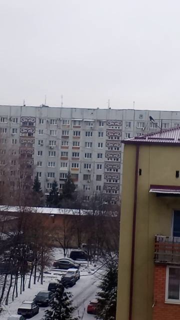 Вороны