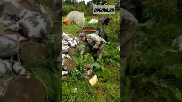 Идеальный дровокол_ Винтовой дровокол на электродвигателе 4 кВт 1420 обр_мин. кл