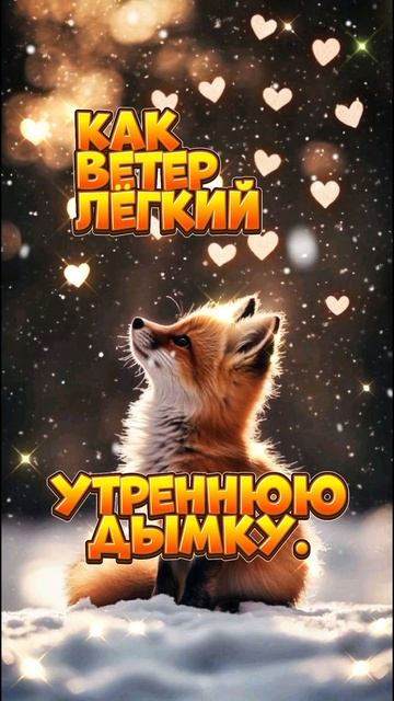 #добрыйвечер