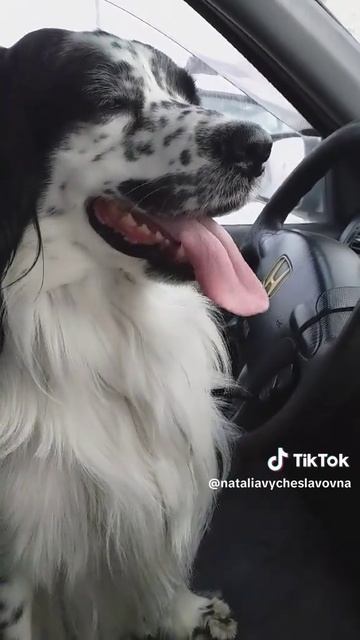 Сколько в среднем водитель получает?...)))