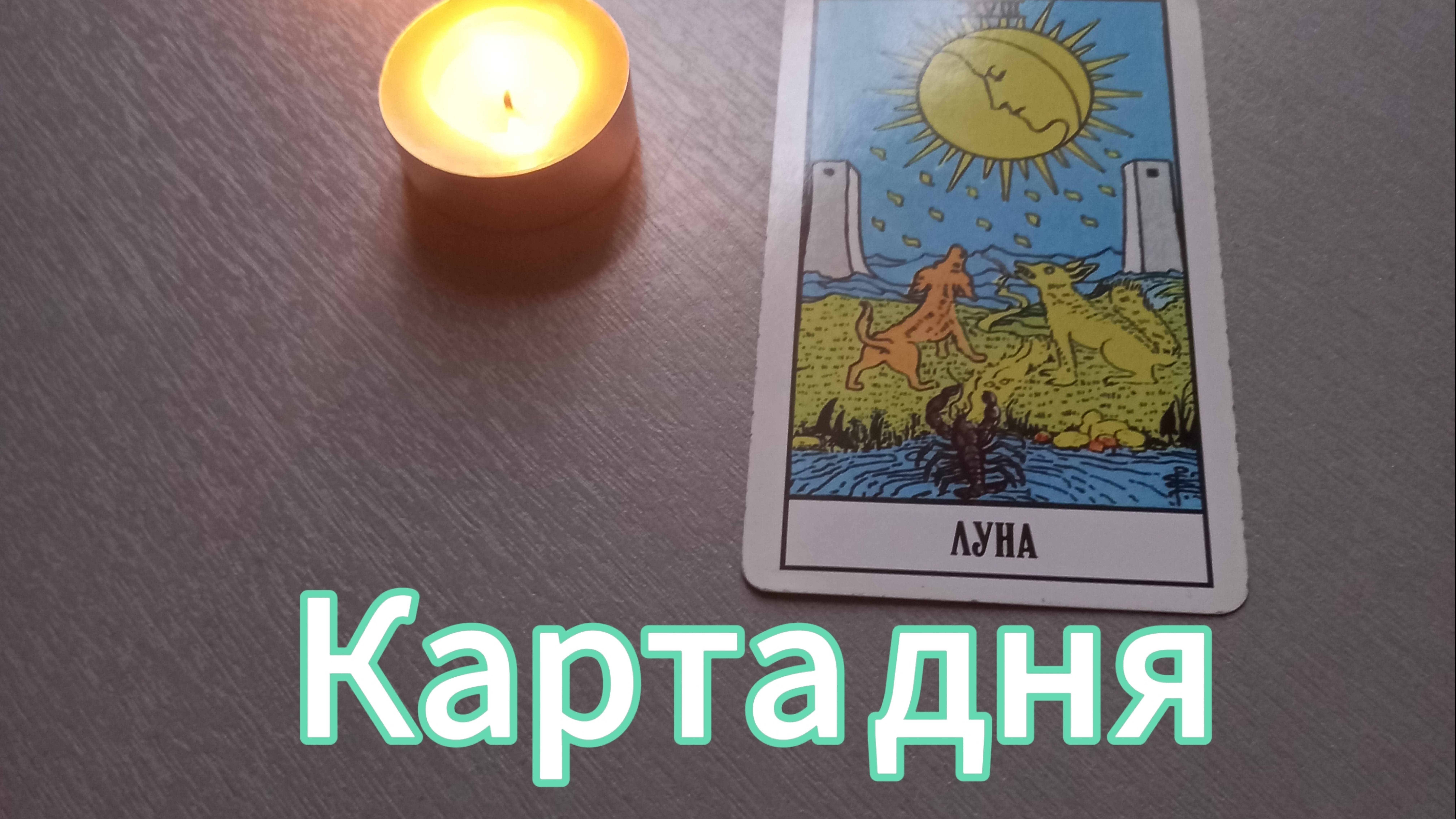 Карта дня