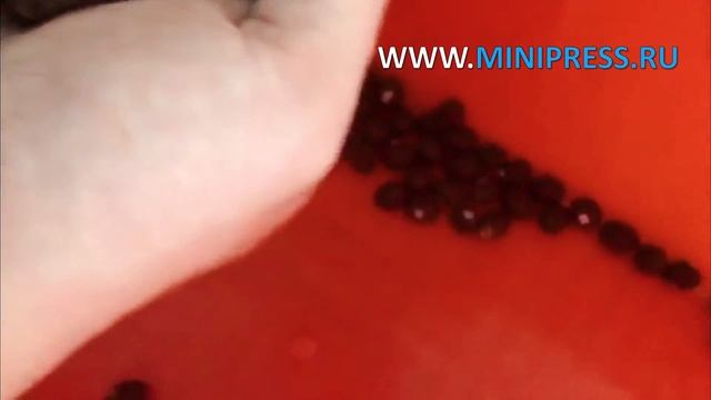 Тестирование принтера для печати логотипа на таблетках, драже и капсулах ALP-1 Minipress.ru