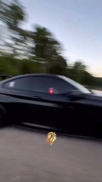 Твое будущее