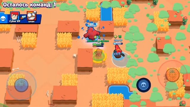 БЕШЕНЫЙ МЕДВЕДЬ СБЕЖАЛ ИЗ ЗООПАРКА |Brawl Stars