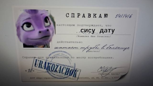 лысый дракон сису со справкой