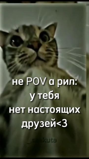 не пов а рил у тебя нет настоящих друзей)