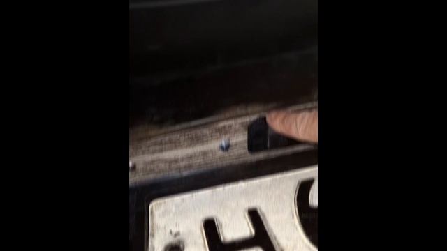1000014990.mp4 (Собака наблюдает за кузовным ремонтом двери авто)