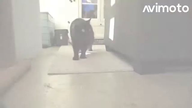 тест квадрум 3