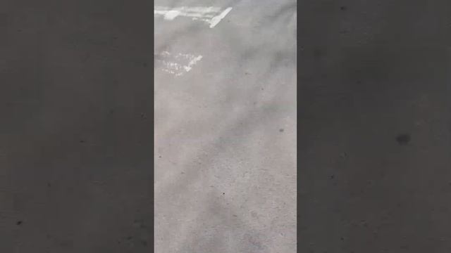 Kherson today.12.03.Жилпоселок.Рынок.