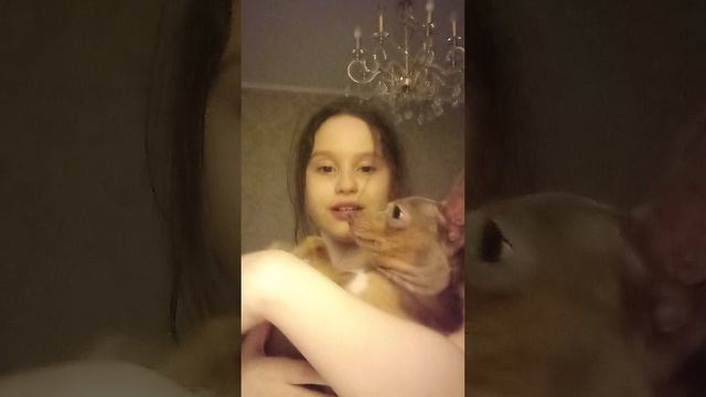 ну как? ◡̈⃝︎   понравилось? ×͜×♡♥︎