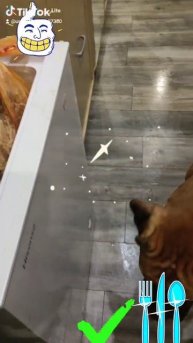 Еда, еда, еда!