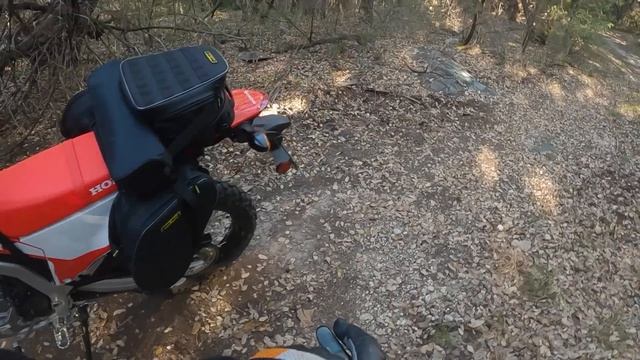 NOOBS Wear Backpacks... REAL Riders Don't (Nelson Rigg Trails End Review)