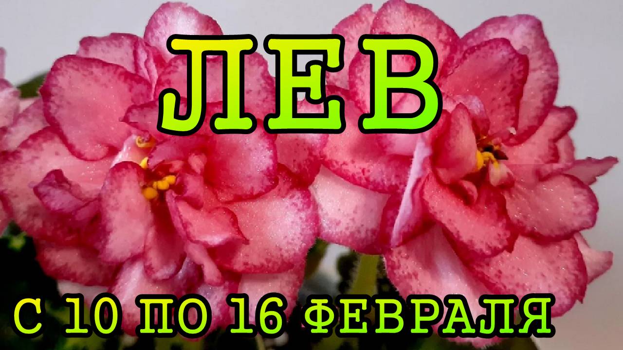 ЛЕВ таро прогноз на неделю с 10 по 16 ФЕВРАЛЯ 2025 года.