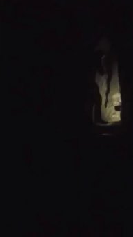 Пещерное существо.