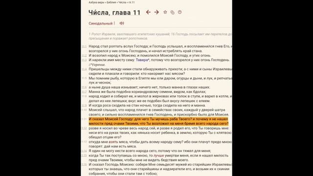 Двойные стандарты алана