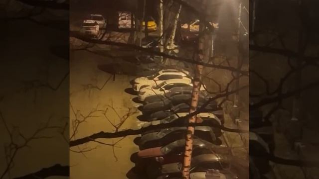 На Можайском шоссе неизвестный мужчина напал на припаркованные машины
