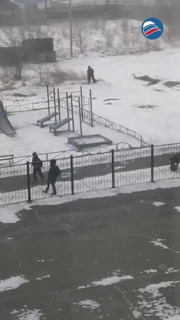 Ветер не пускает на уроки: дети Комсомольска-на-Амуре получили выходной