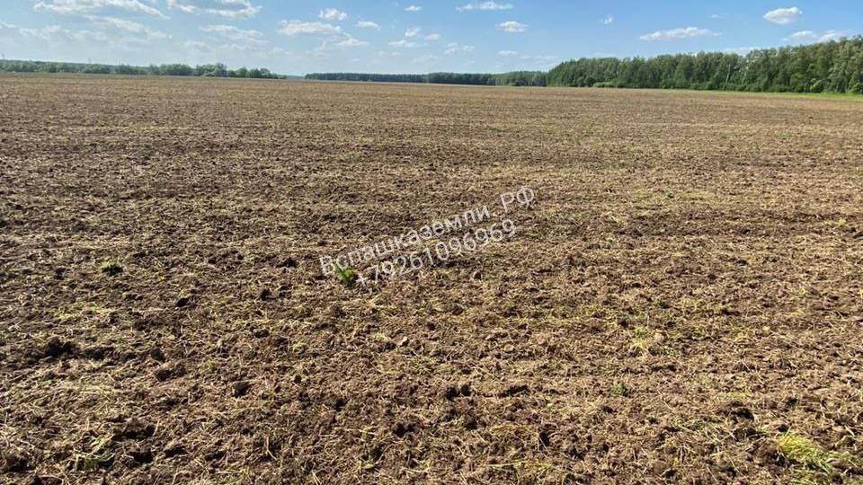 Дискование поля в три прохода с последующим посевом травы