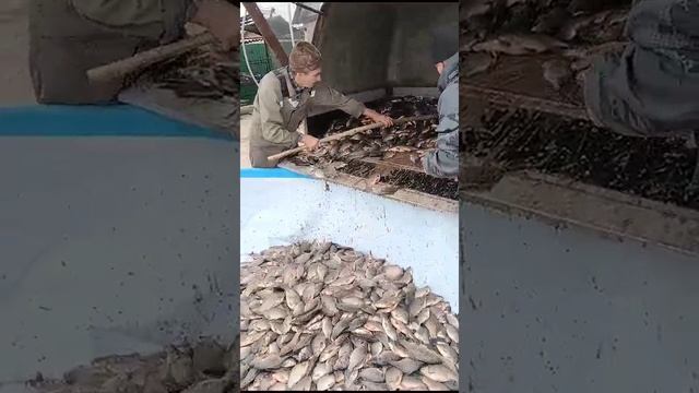На рыбалке.