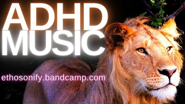ADHD Music to Improve Focus & Concentration Vol 4 [1 HOUR🚫NO ADS] Chill Music for Work & Creativity