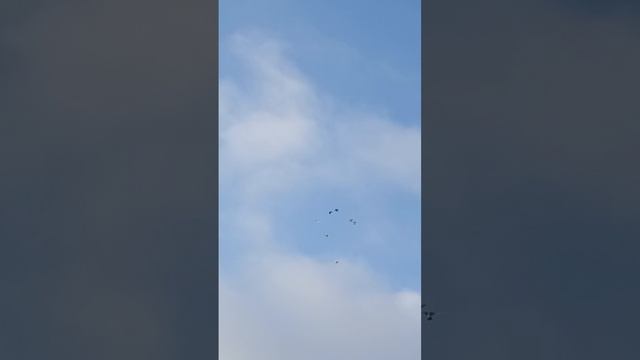 7.02.2025 . атака Тетеревятницы.