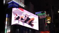 Shinjuku cat — гигантская кошка на Синдзюку в Токио