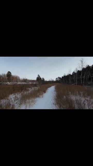 fpv Avata