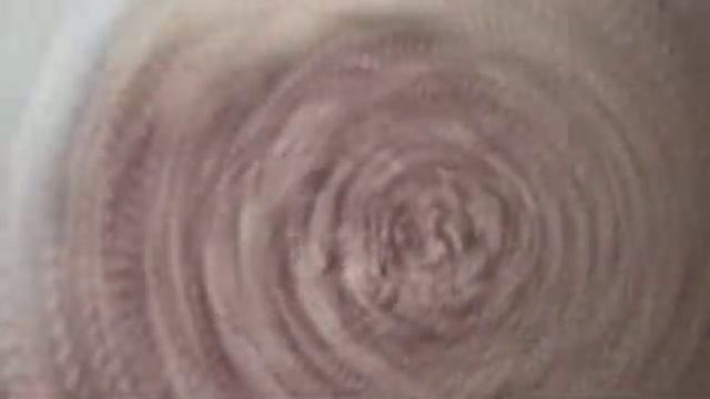 Sophia's video of her pets "California Gurls"