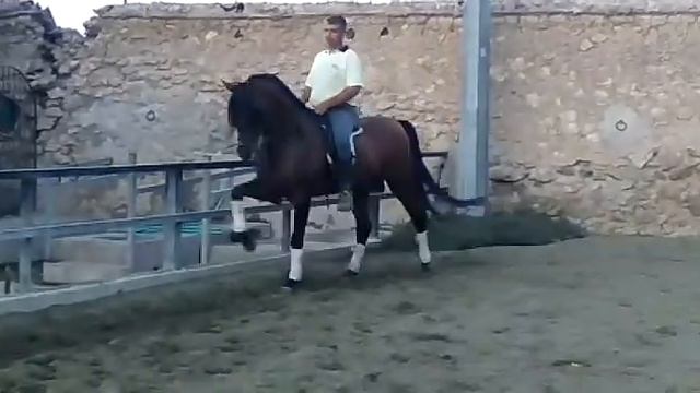 ПРЕДЛАГАЕТСЯ К ПРОДАЖЕ